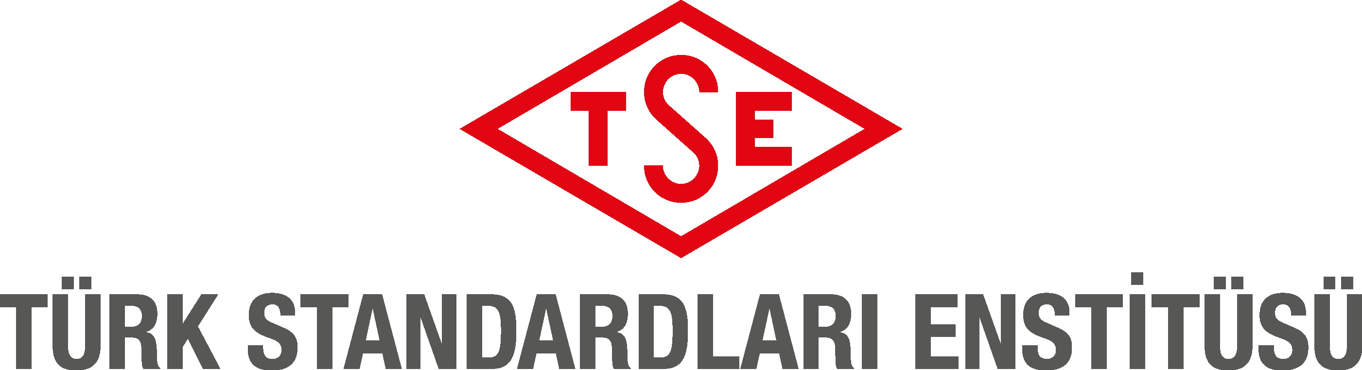 TSE Logo